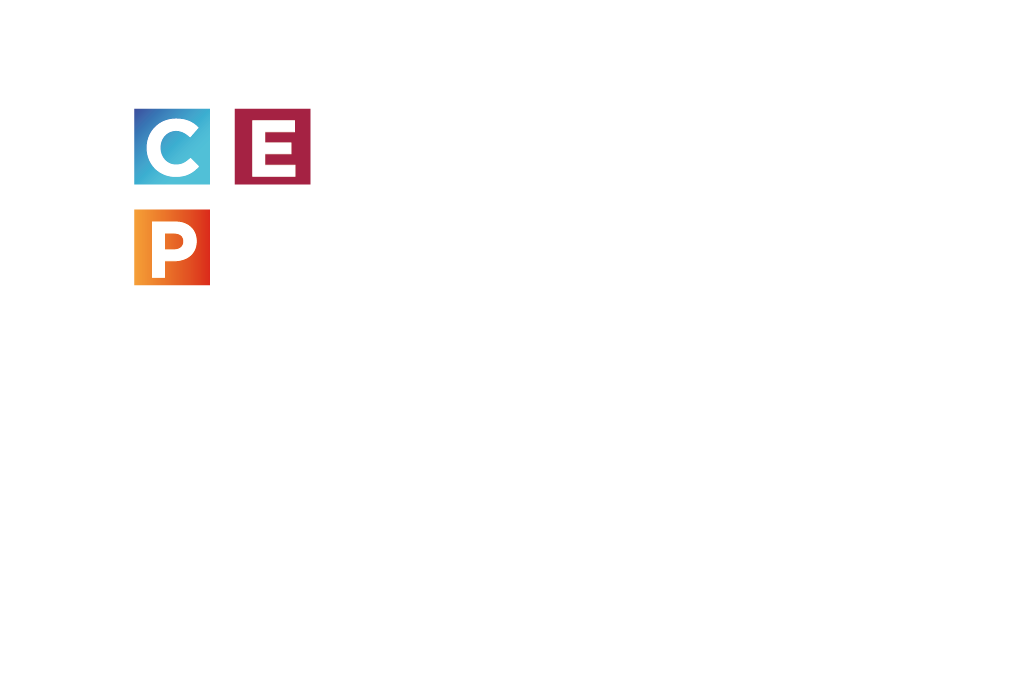 Control del Espacio Público